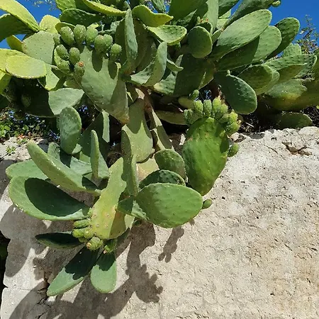 Baglio Sole Degli Iblei Apartment