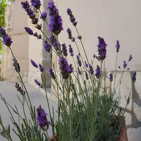Apartment Baglio Sole Degli Iblei Avola