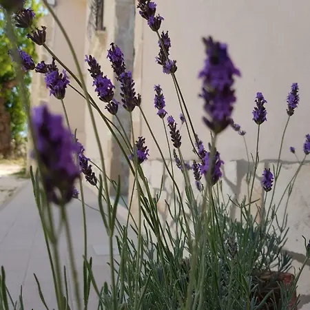 Baglio Sole Degli Iblei Apartment Avola